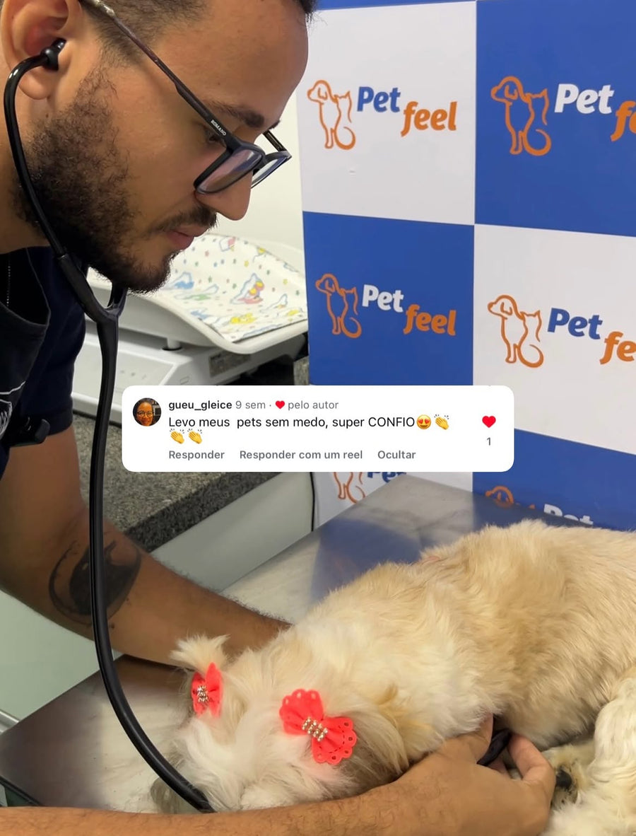 Feedback de cliente da Petfeel