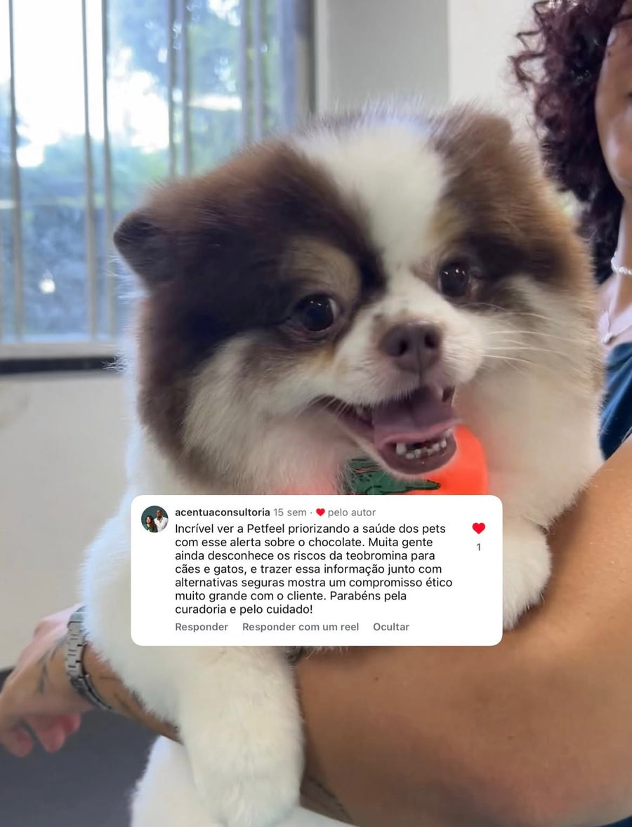 Feedback de cliente da Petfeel