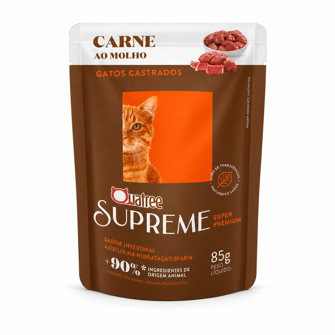 imagem-1.jpg