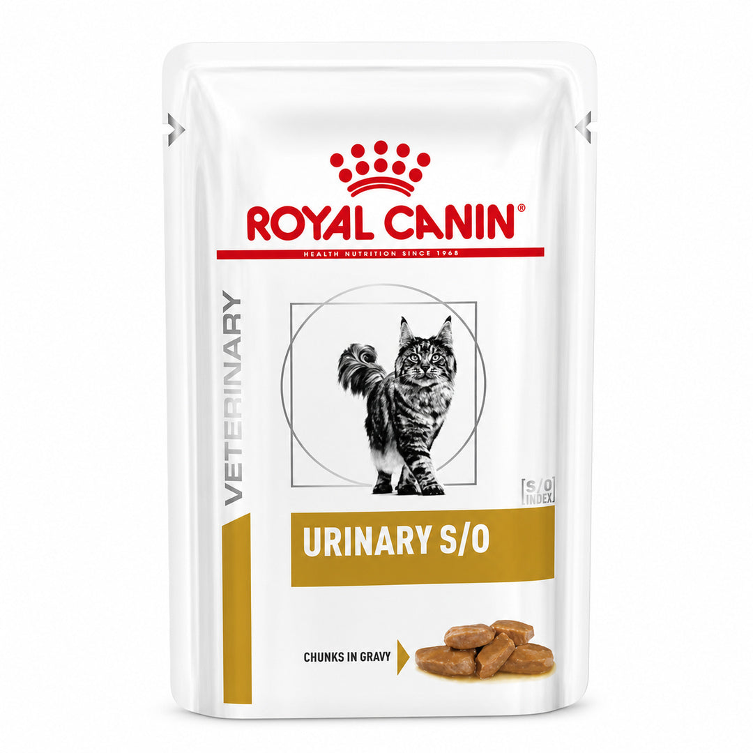 imagem-1.jpg