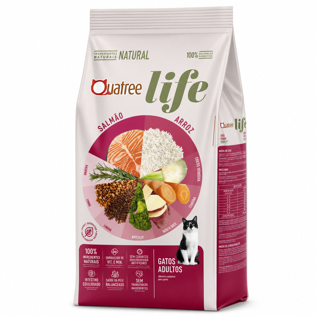 imagem-1.jpg
