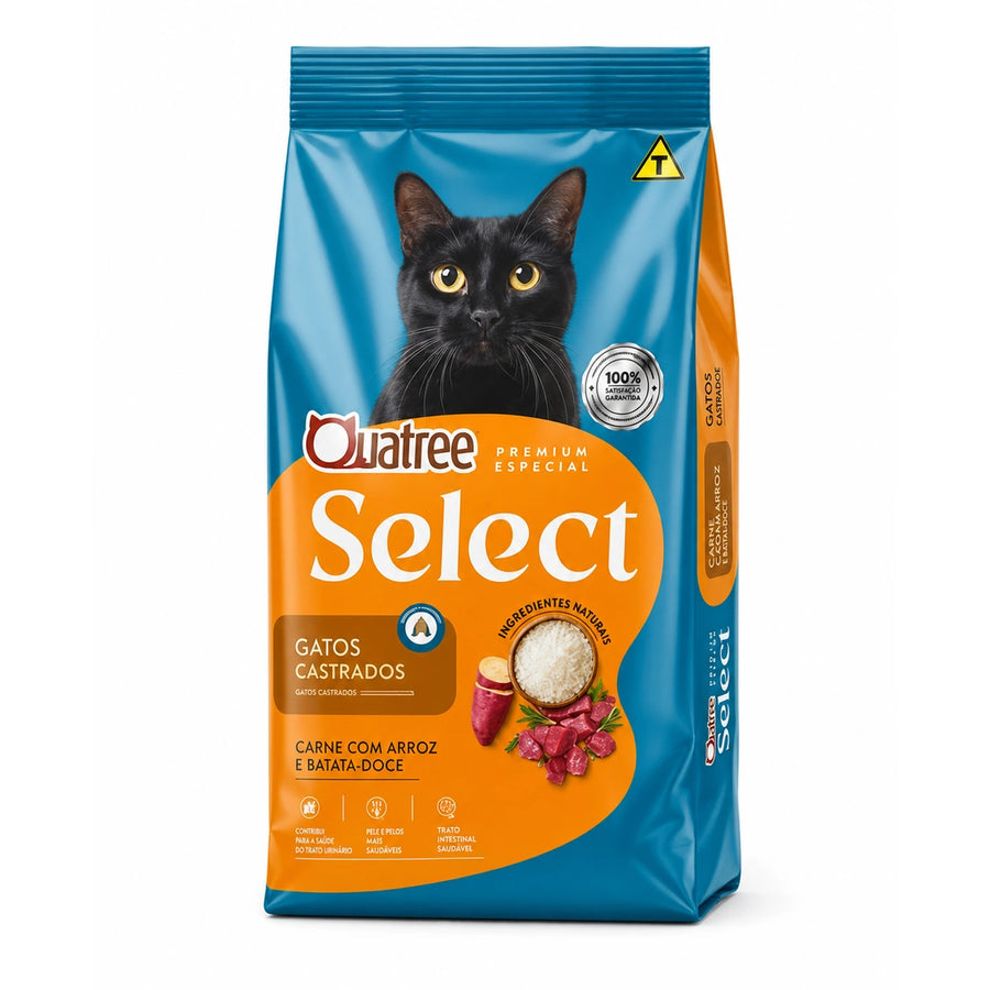 imagem-1.webp
