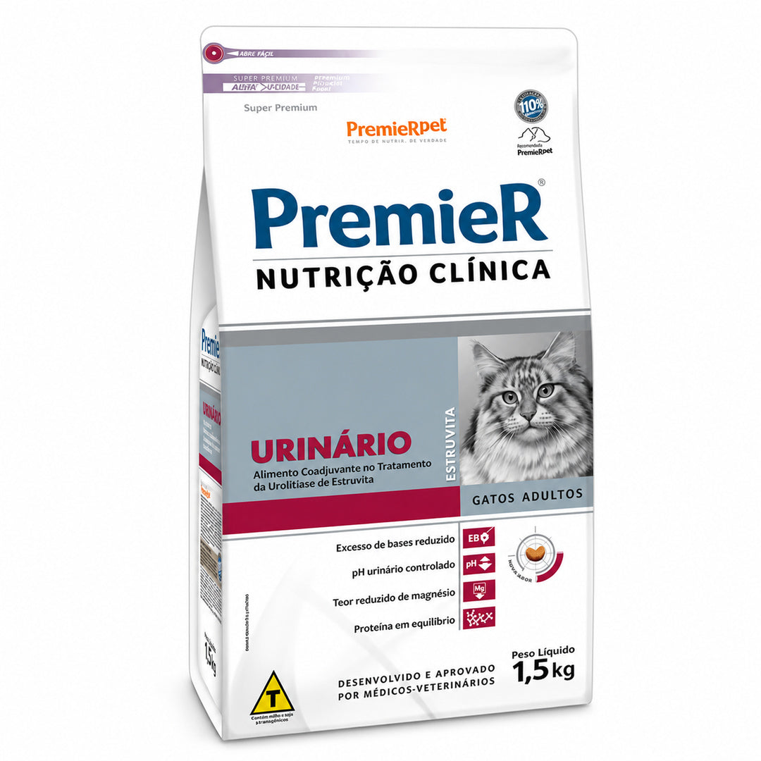imagem-2.jpg