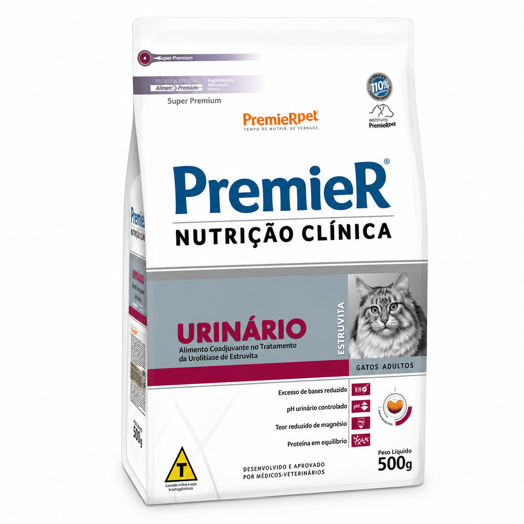 imagem-2.jpg