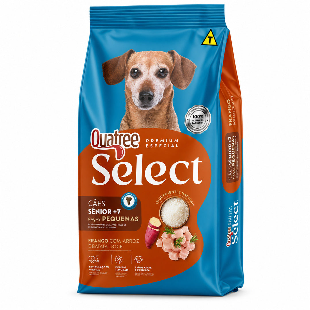 imagem-2.jpg