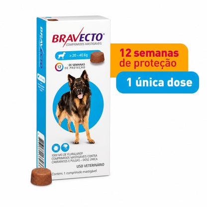 imagem-3.jpg