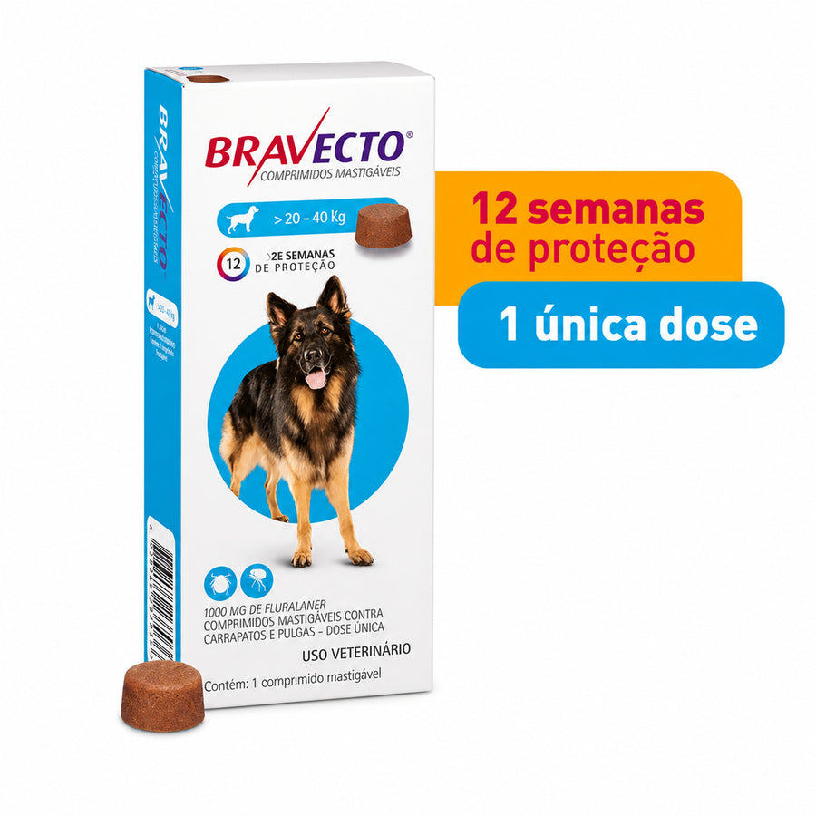 imagem-3.jpg