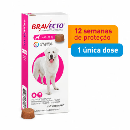 imagem-4.jpg