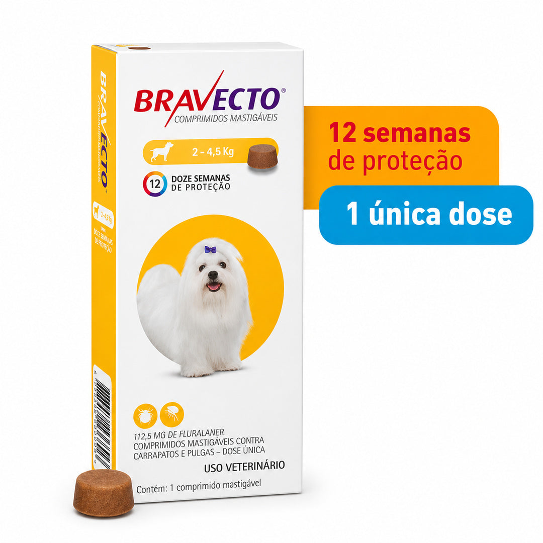 imagem-5.jpg